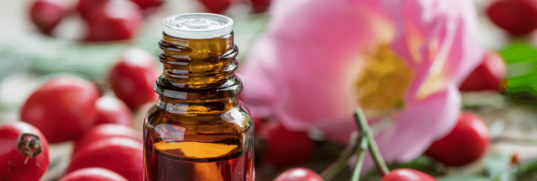 Huile de rose musquée ou d’églantier ? - Asmaa Naturals